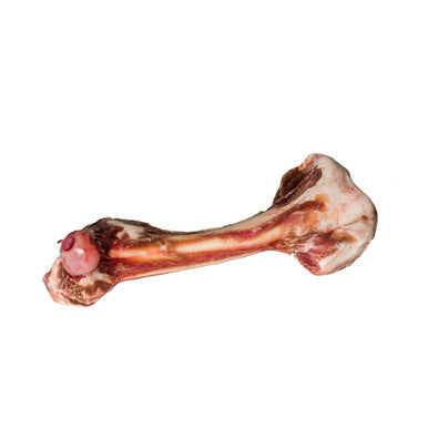FZN Lamb Femur Bones 22.05 LBS/Case