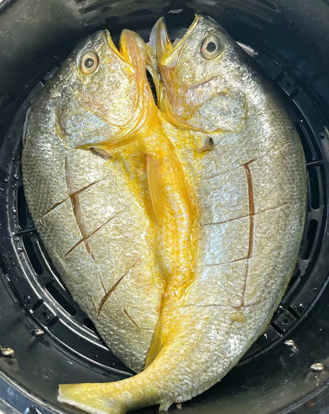 FZN Fish Boy Yellow Croaker 100/700g Head On W/Guts 20% Glaze 10LBS/Case