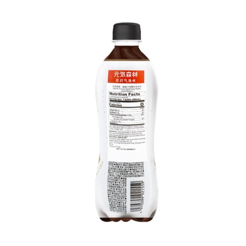 GF Sparking Water Plum Flavor 480ml*15btls/Case