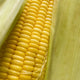 Corn 48ct/Case