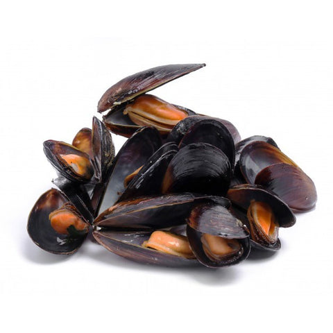 Chile 1/2 Shell Mussels 20% Glazing 1/20LBS (M)/Case