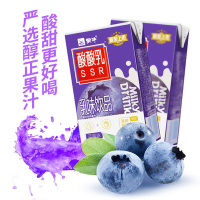 MN Yogurt Milk Drink Blueberry 4packs*6boxes*250ml/Case