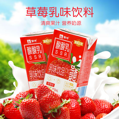 MN Yogurt Milk Drink Strawberry 4packs*6btls*250ml/Case