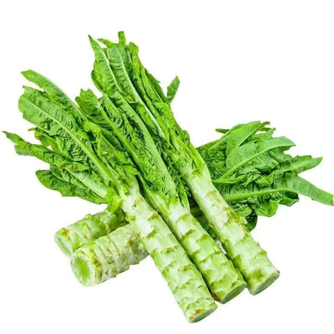 Celtuce 40 LB Case