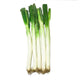 Chinese Scallion / Case