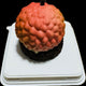 Lychee Cake 75g * 8 Pcs / Box