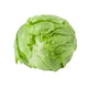 Iceberg Lettuce 24ct/Case