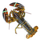 Lobster Boston 2 EA / Case