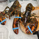 Lobster Boston 2 EA / Case
