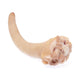 Pork Tail  / Case