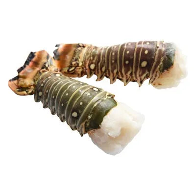 5OZ Warm Water Lobster Tails 10LBS/Case