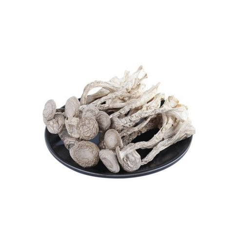 Antler Mushroom 16oz