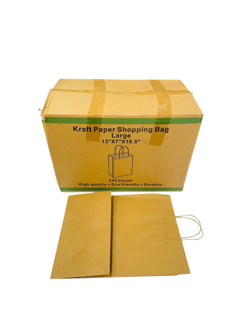PB-10713K Paper Bag W Handle Medium-250/Case