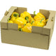 Yellow Peppers 20-24ct 11LBS/Case