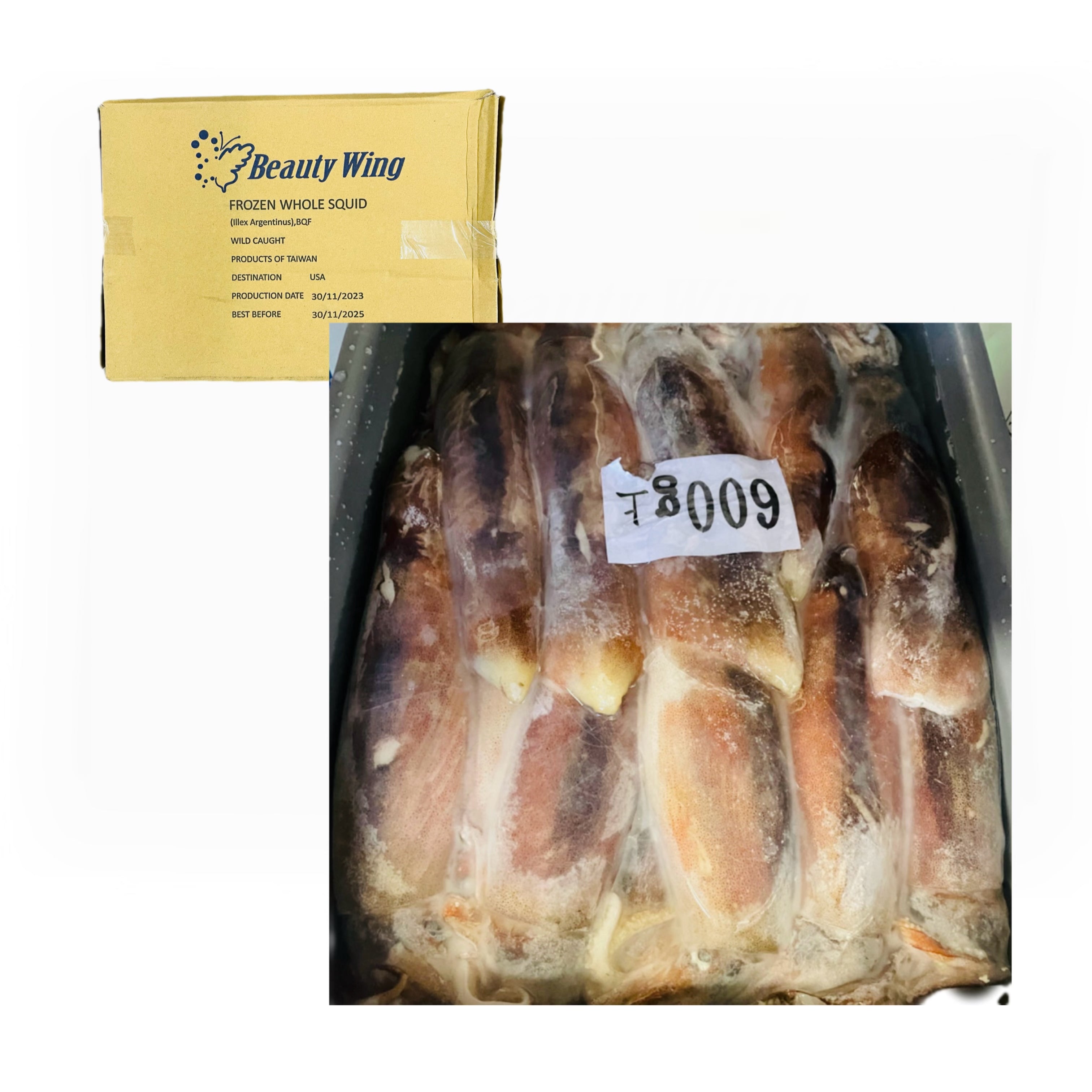 Uncleaned Whole Squid (LG) 600-800g 39 LB / Case – Topfoo