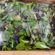 Mesclun Mix Veggie 3LB / Case