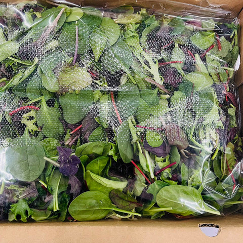 Mesclun Mix Veggie 3LB / Case