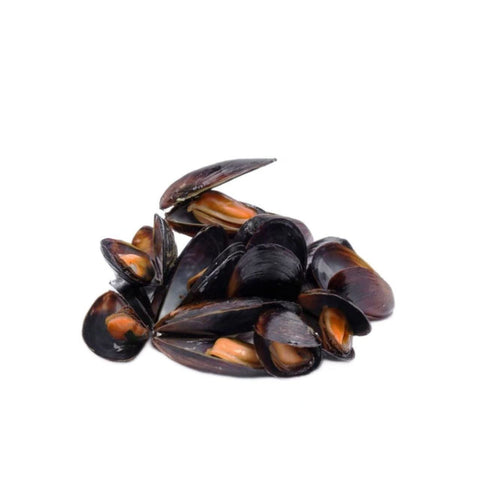 Chile Wholeckd Mussels  10LBS /Case