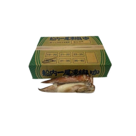Frozen Whole Pacific Flying Squid 23-25pcs/Case
