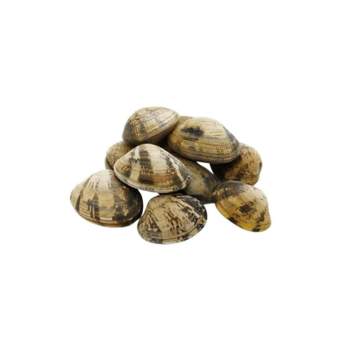 Frozen Boiled Clams 20*16oz/Case