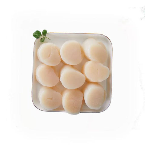 Sushi Seafood Scallop S/Case