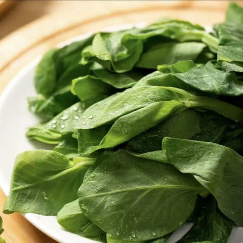 Bean Sprouts ( Peapod Feaf )  10 LBS/Case