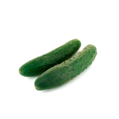 Short Cucumber /Case