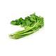 Chinese Celery 20 LB / Case