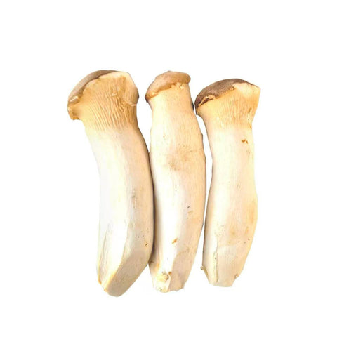 King Oyster Mushroom / Case