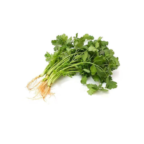 Cilantro /Case