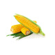 Corn 48ct/ Case
