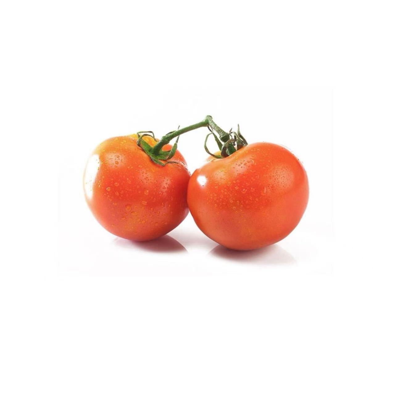 Tomatoes 25LBS/Case – Topfoo