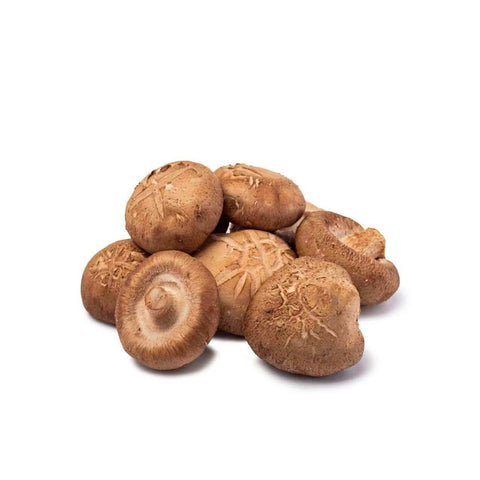 Shitake mushroom 11 LB /Case