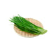 Chives /Case