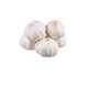 Garlic 5ct / EA