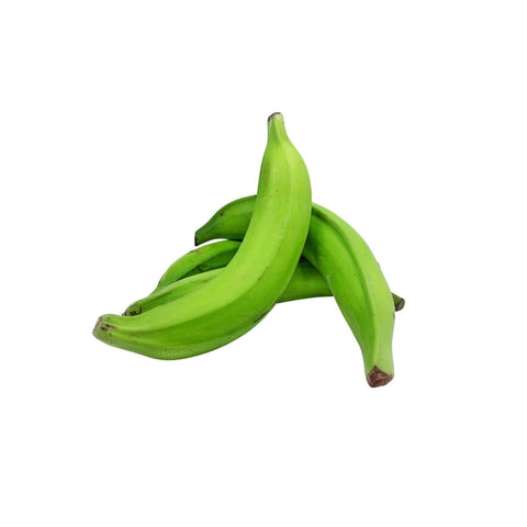 Plantain Green 1/Each