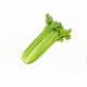 Celery /Case
