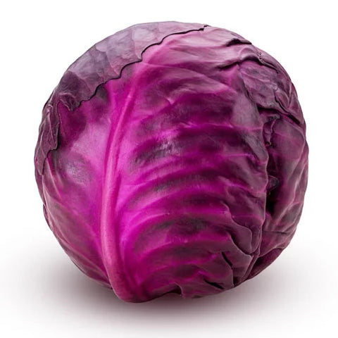 Red cabbage/Case