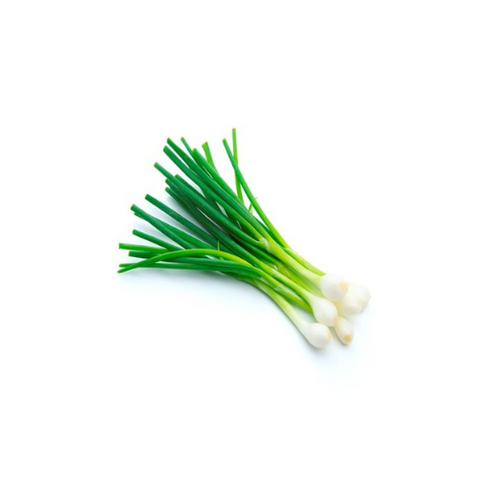 Scallion Candy Scallion 48CT/Case – Topfoo