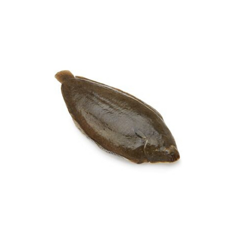 FZN Whole Gray Sole 500/800g 2L 30LBS/Case