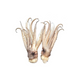 lllex Squid Tentacle 1.6LB*10 Bag  / Case