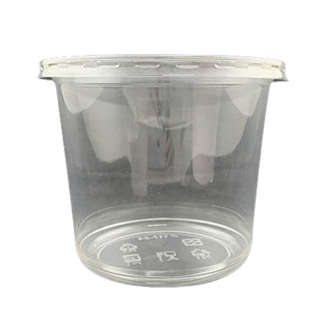 Lunch Box Soup Plastic Containers With Lids 24oz 240 Pack/Case