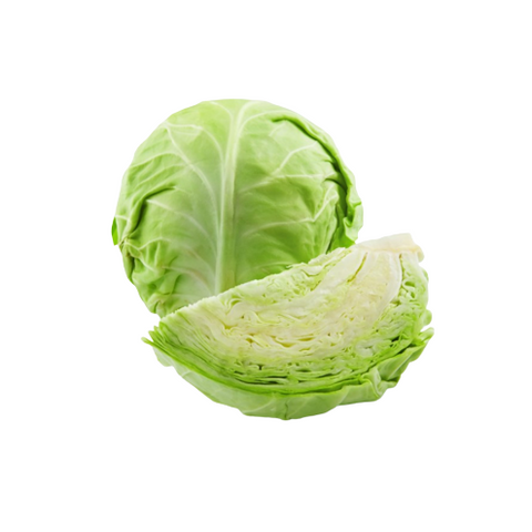 Lettuce 24CT/Case