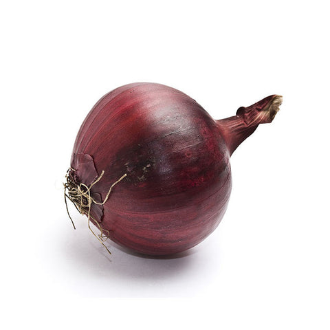 Purple Onion 25LBS/Case