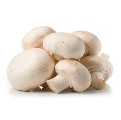 白蘑菇 10磅/箱